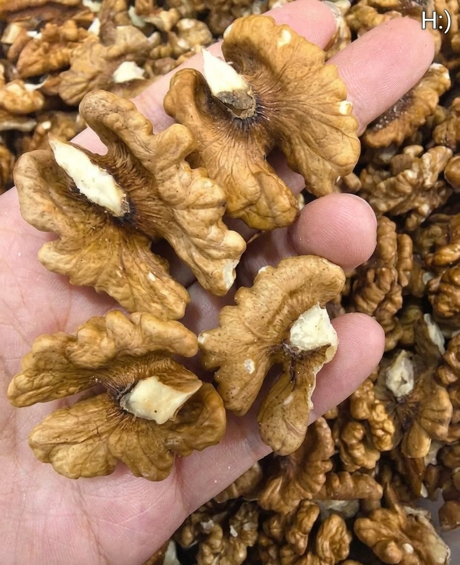 Doctors Reveal What Happens When You Eat Walnuts Regularly, Explaining How These Nutrient-Packed Nuts Can Improve Heart Health, Boost Brain Function, Support Weight Management, Reduce Inflammation, and Stabilize Blood Sugar, While Highlighting Surprising Benefits You Might Not Expect From Simply Adding a Handful of Walnuts to Your Daily Diet