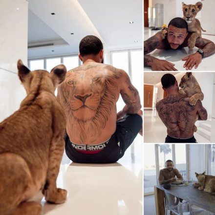 The Lion Who Chose Him