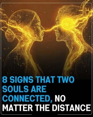 Signs That Reveal A Deep Soul Connection Even Across Distance And Time, Exploring Emotional Bonds, Intuitive Feelings, Shared Thoughts, And Unspoken Understanding Between Two People Who Feel Closely Linked Despite Physical Separation, Highlighting The Power Of Human Connection Beyond Science And Logic In Everyday Life Experiences And Personal Beliefs Worldwide