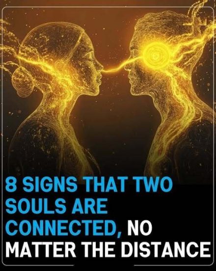 Signs That Reveal A Deep Soul Connection Even Across Distance And Time, Exploring Emotional Bonds, Intuitive Feelings, Shared Thoughts, And Unspoken Understanding Between Two People Who Feel Closely Linked Despite Physical Separation, Highlighting The Power Of Human Connection Beyond Science And Logic In Everyday Life Experiences And Personal Beliefs Worldwide