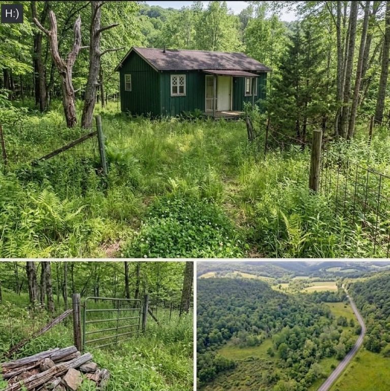 Now $19,000—recently reduced by $6K. Escape to total privacy: no neighbors, no noise, peace and open space. Perfect for a getaway, investment, or off-grid living. Rare opportunity to own quiet land at an unbeatable price. Act fast before it’s gone.
