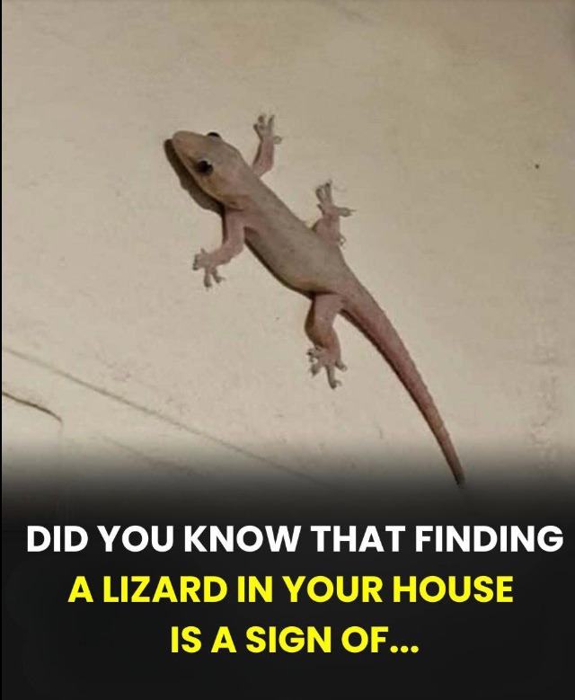 The Spiritual Meaning of a Lizard Entering Your Home Across Different Cultures